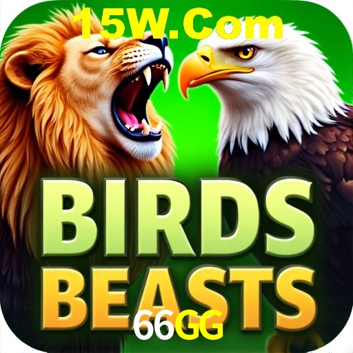 Interface Premium 66GG