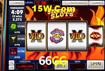 66GG - Support